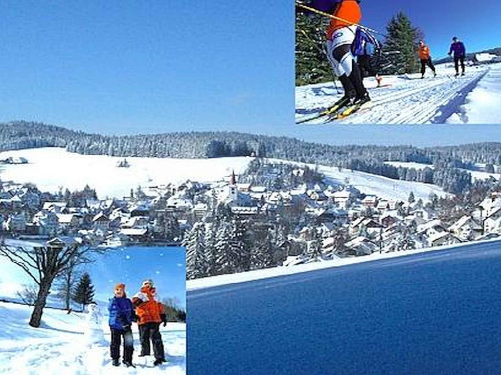 Appartmentvermietung Terrassenpark Schonach Schonach im Schwarzwald Buitenkant foto